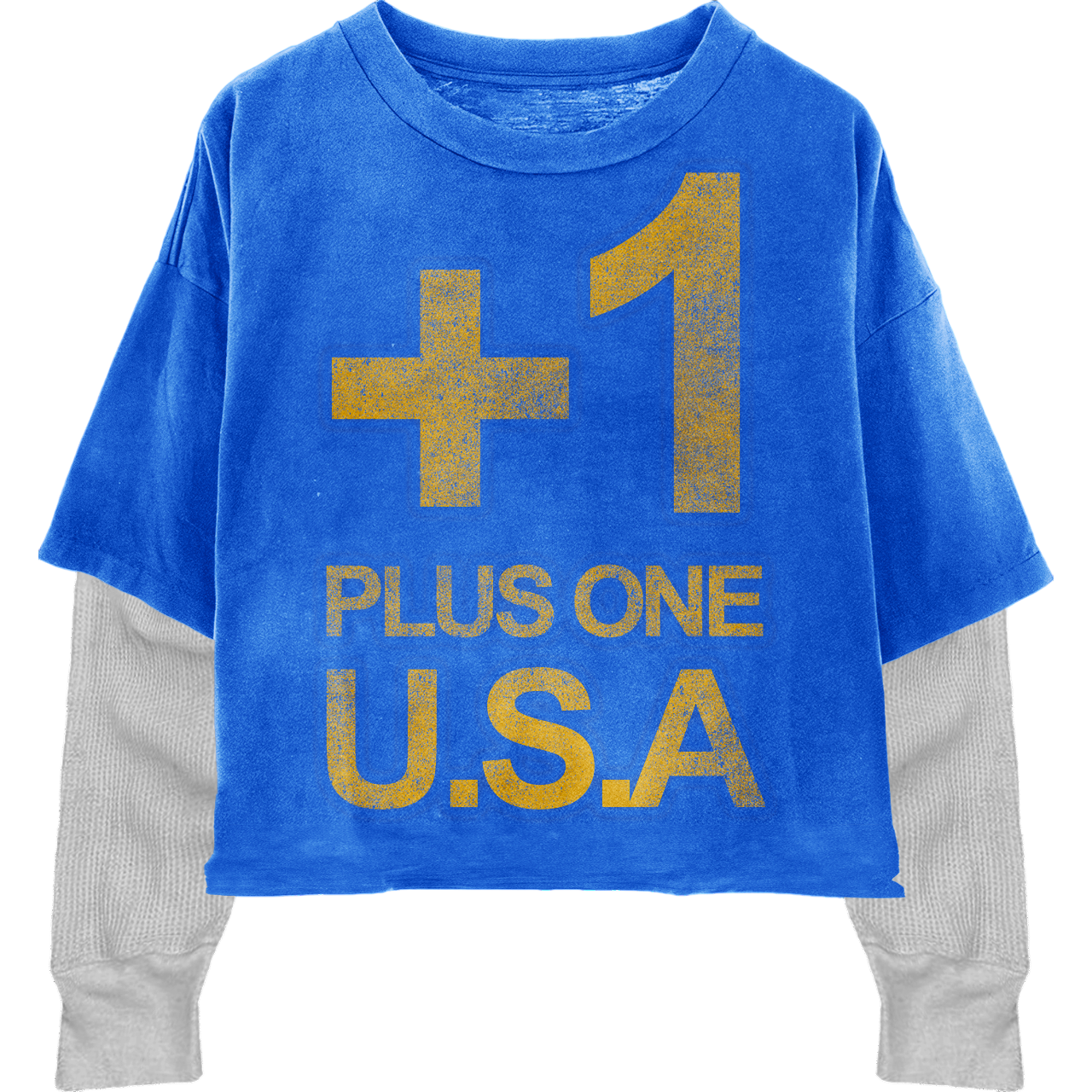 +1 USA Blue LongSleeve Tee